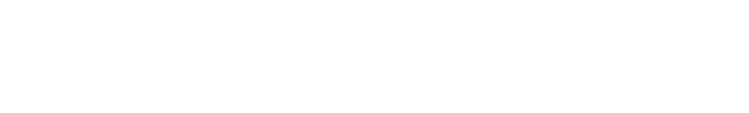Item 1