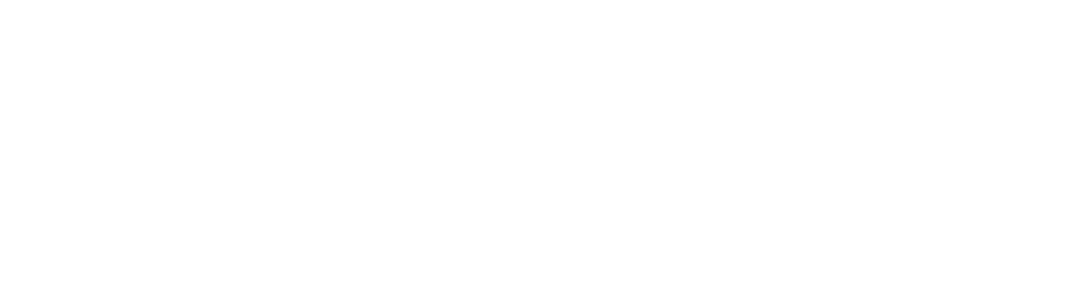 Item 1
